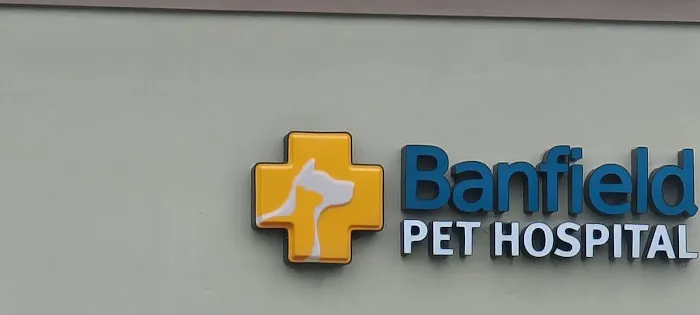 Banfield Pet Hospital Picture 5