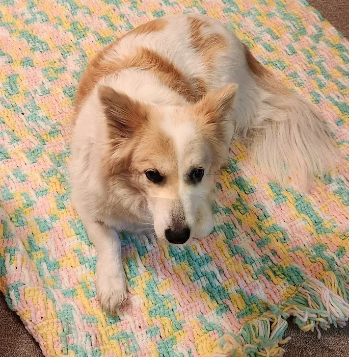 Banfield Pet Hospital Picture 7