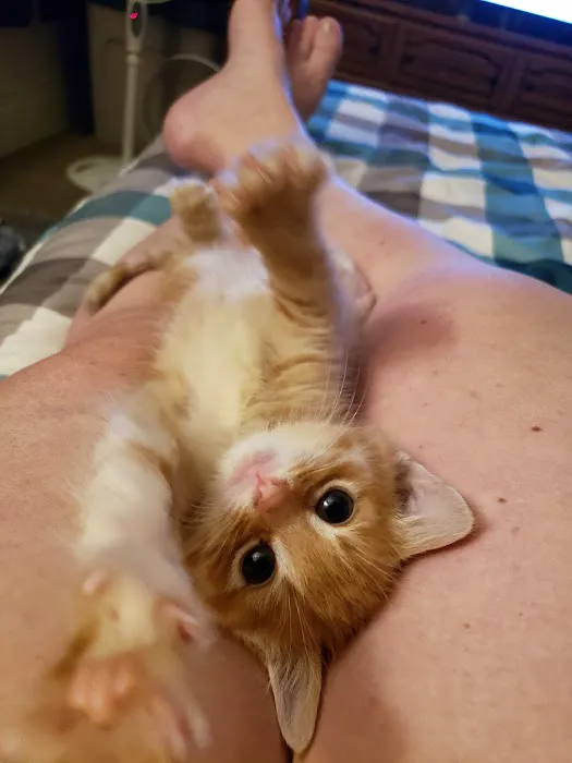 Tri-Vet Associates Picture 2