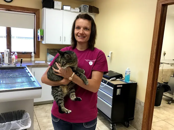 Tri-Vet Associates Picture 7