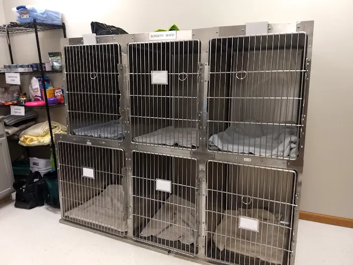 Dubuque County Veterinary Services Picture 3