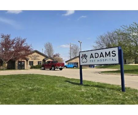 Adams Pet Hospital