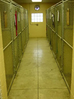 Adams Pet Hospital Picture 4