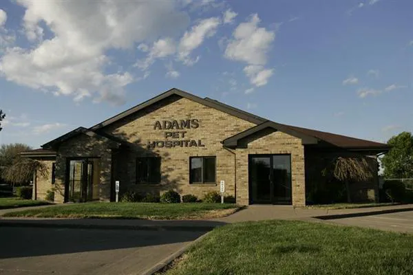 Adams Pet Hospital Picture 5