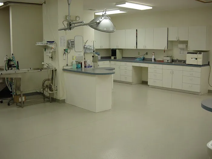 Adams Pet Hospital Picture 10