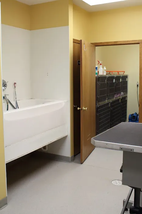 Adams Pet Hospital Picture 9