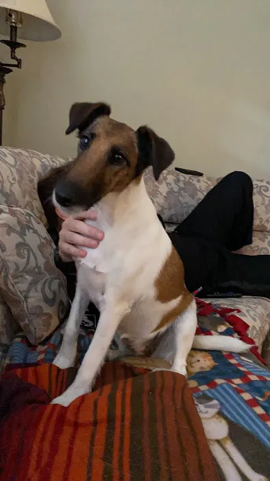 Neumeister Animal Hospital Picture 1