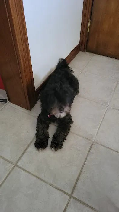 Neumeister Animal Hospital Picture 4