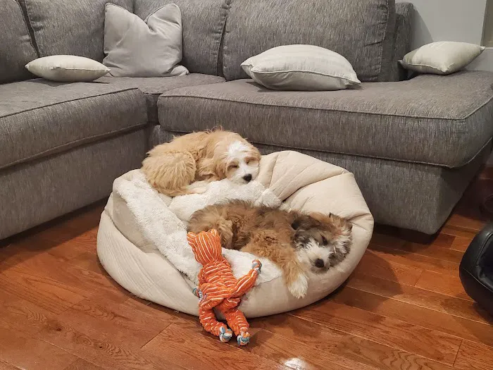 Neumeister Animal Hospital Picture 6