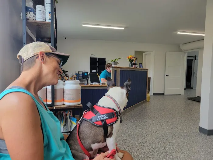 GoodLife Integrative Veterinary Care Picture 2