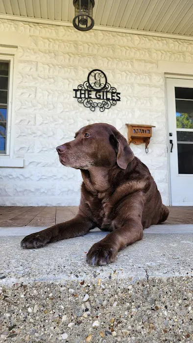 GoodLife Integrative Veterinary Care Picture 3