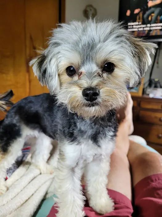 Colonial Terrace Animal Hospital Picture 1