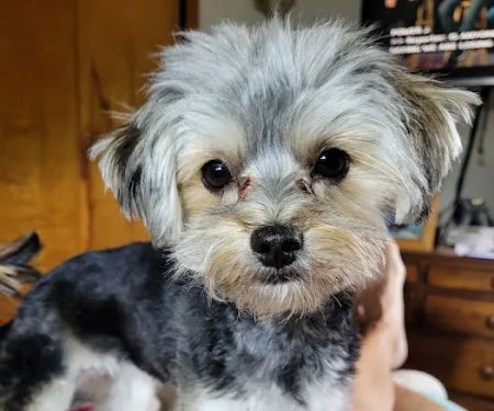 Colonial Terrace Animal Hospital