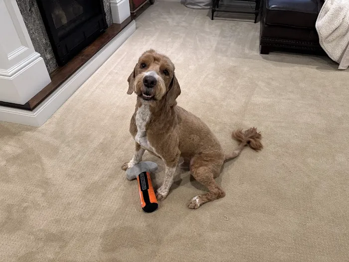 Colonial Terrace Animal Hospital Picture 4