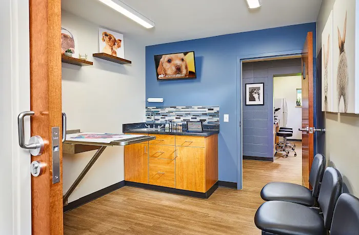 Colonial Terrace Animal Hospital Picture 9