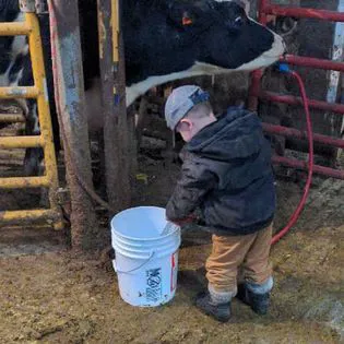 Rolling Hills Veterinary Services Picture 2