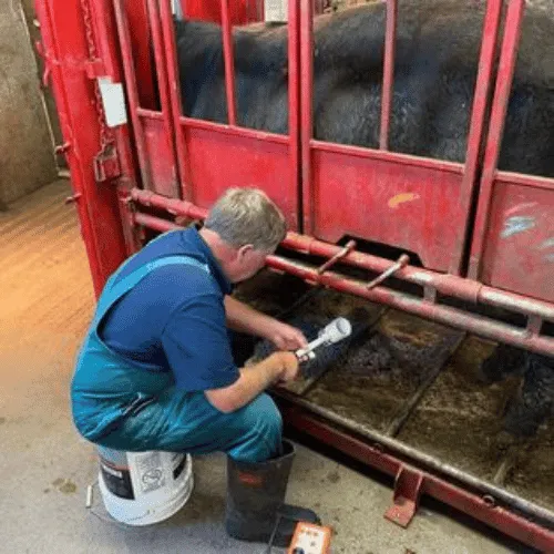 Rolling Hills Veterinary Services Picture 4