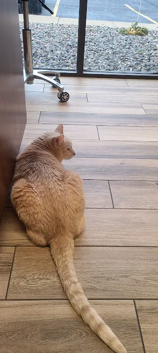 Valley Veterinary Hospital Picture 1