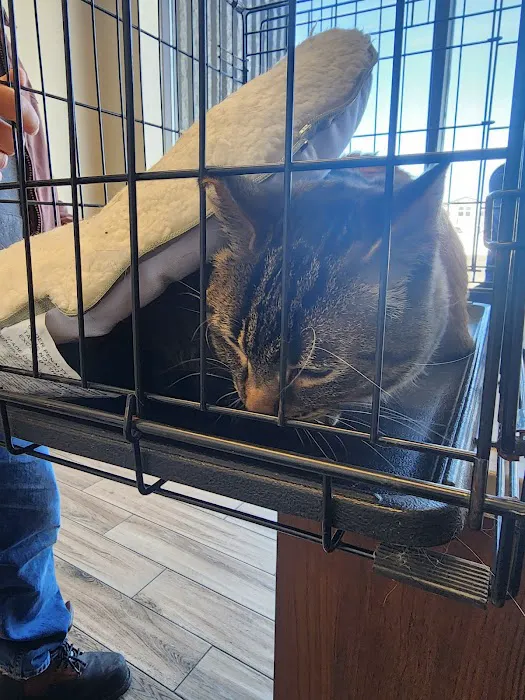 Valley Veterinary Hospital Picture 2