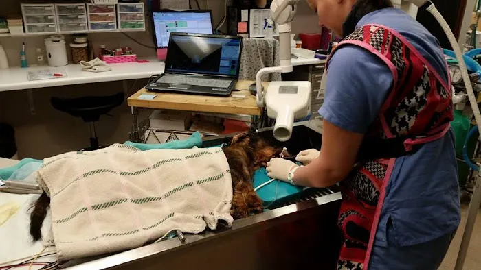 Valley Veterinary Hospital Picture 8