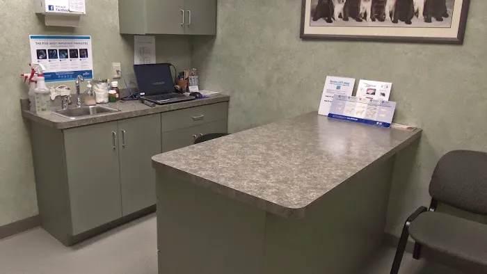 Valley Veterinary Hospital Picture 5