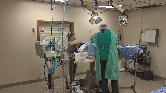 Valley Veterinary Hospital Picture 10