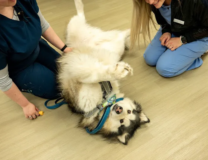 West Fargo Animal Hospital Picture 3