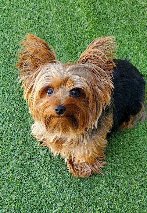 West Fargo Animal Hospital Picture 7