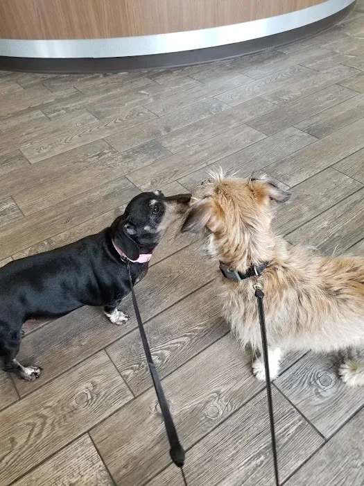 West Fargo Animal Hospital Picture 6