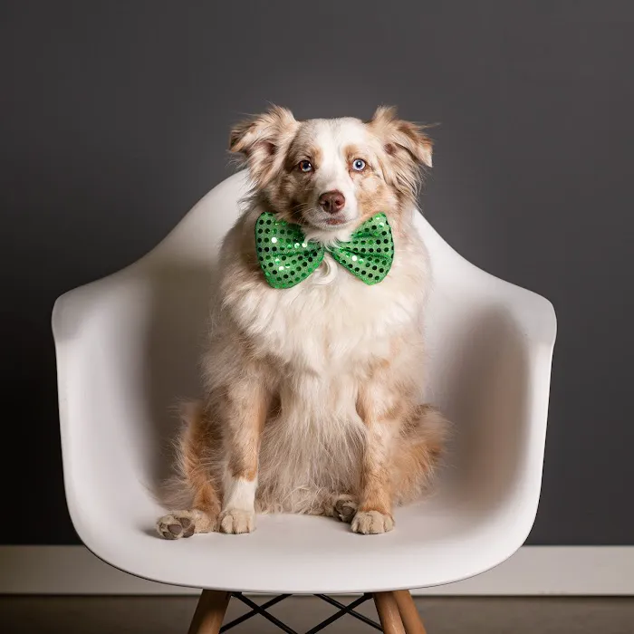 West Fargo Animal Hospital Picture 2