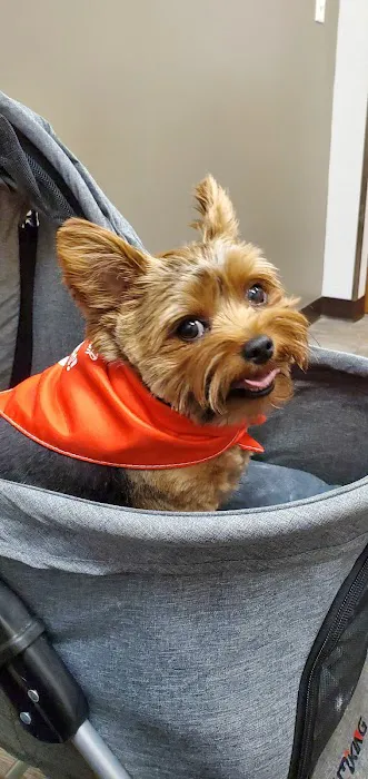 West Fargo Animal Hospital Picture 4