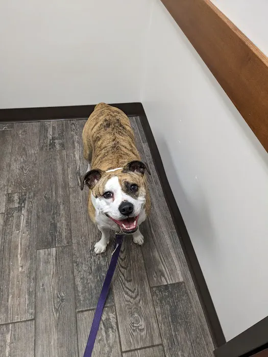 West Fargo Animal Hospital Picture 8