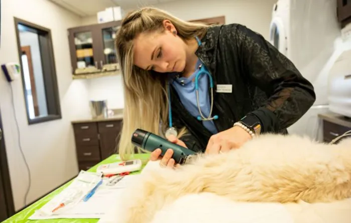 West Fargo Animal Hospital Picture 10