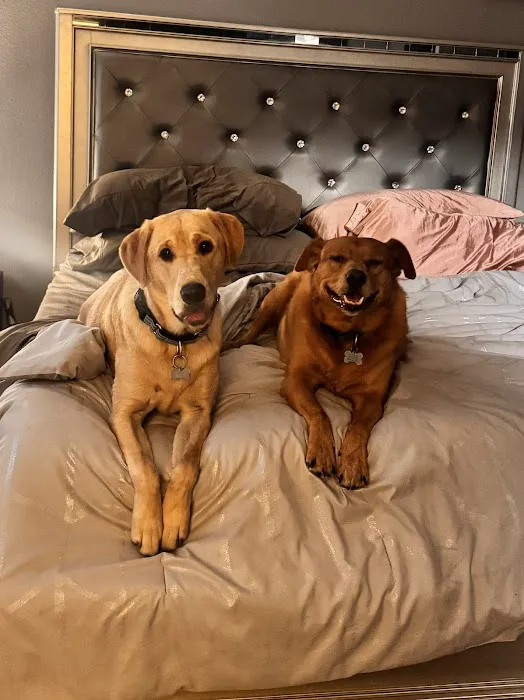 West Fargo Animal Hospital Picture 9