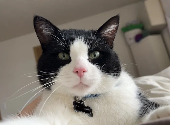 Two Rivers Veterinary Hospital Picture 1