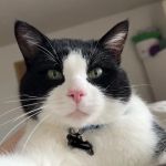 Two Rivers Veterinary Hospital