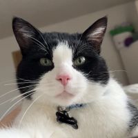 Two Rivers Veterinary Hospital ico