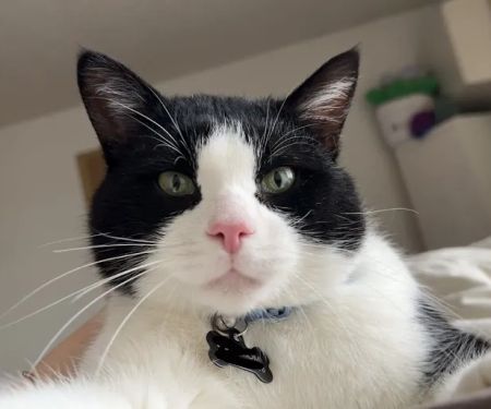 Two Rivers Veterinary Hospital