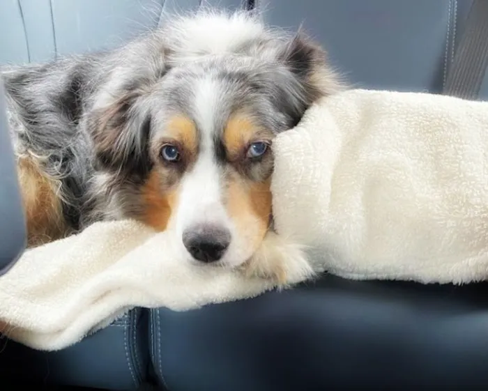 Two Rivers Veterinary Hospital Picture 3