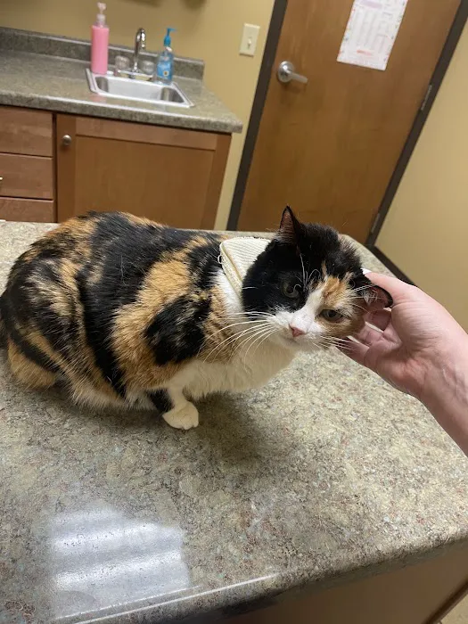 Two Rivers Veterinary Hospital Picture 4