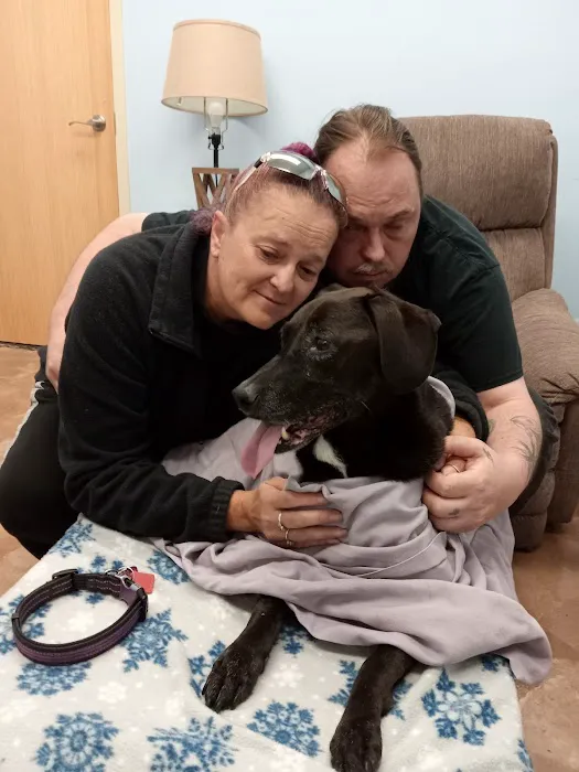 Healthy Paws Veterinary Clinic Picture 2