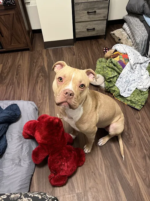 Healthy Paws Veterinary Clinic Picture 3