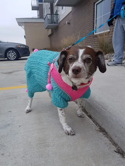 Healthy Paws Veterinary Clinic Picture 1