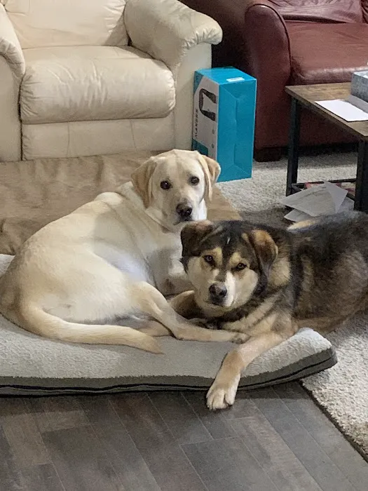 Healthy Paws Veterinary Clinic Picture 5