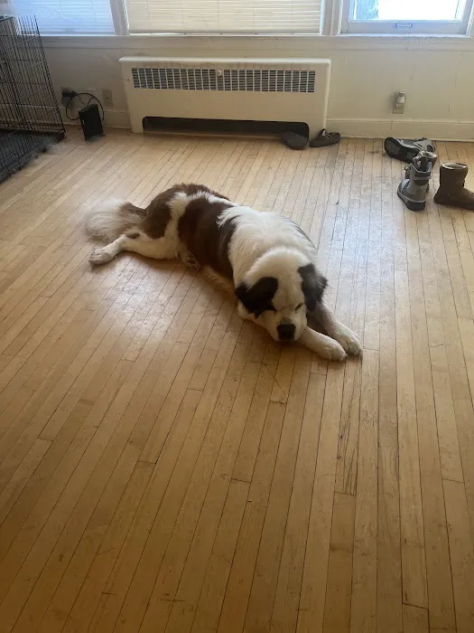 Get Your Fix Veterinary Surgical Center Picture 1