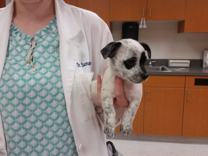 Detroit Lakes Animal Hospital Picture 3