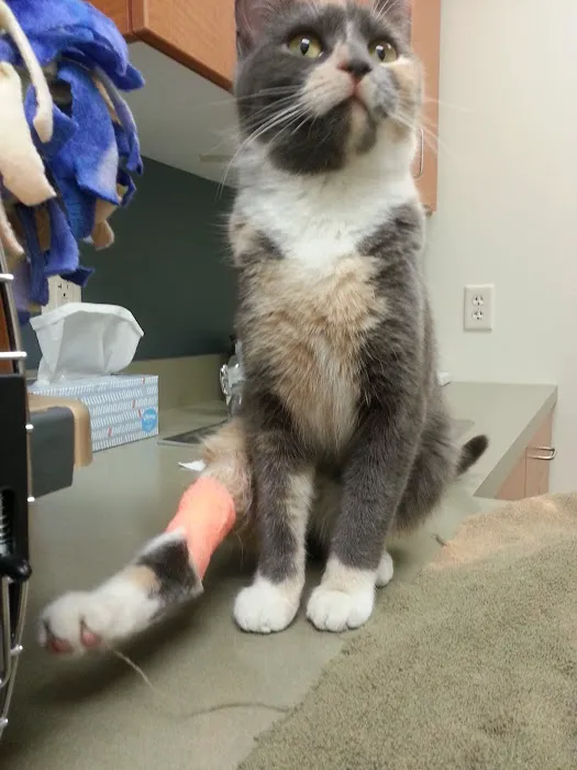 Detroit Lakes Animal Hospital Picture 1