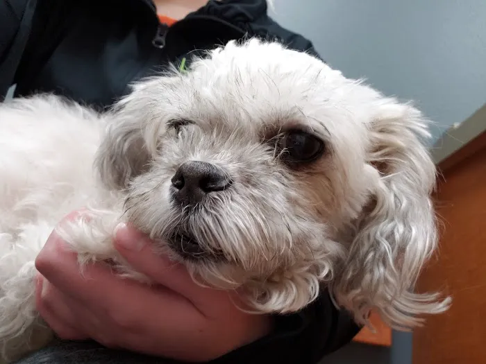 Detroit Lakes Animal Hospital Picture 5