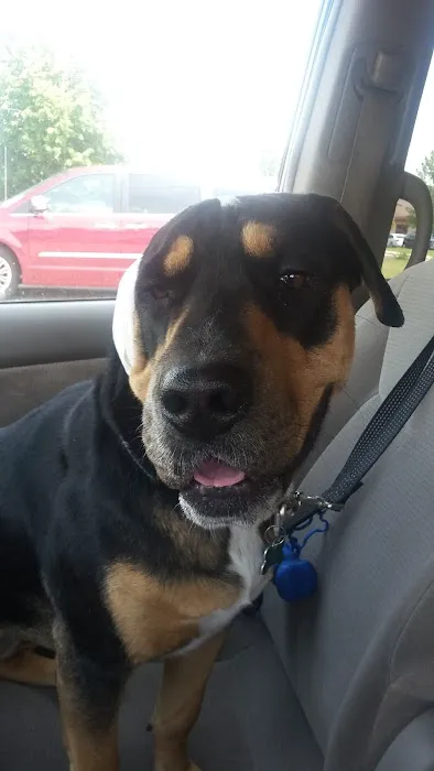 Detroit Lakes Animal Hospital Picture 4