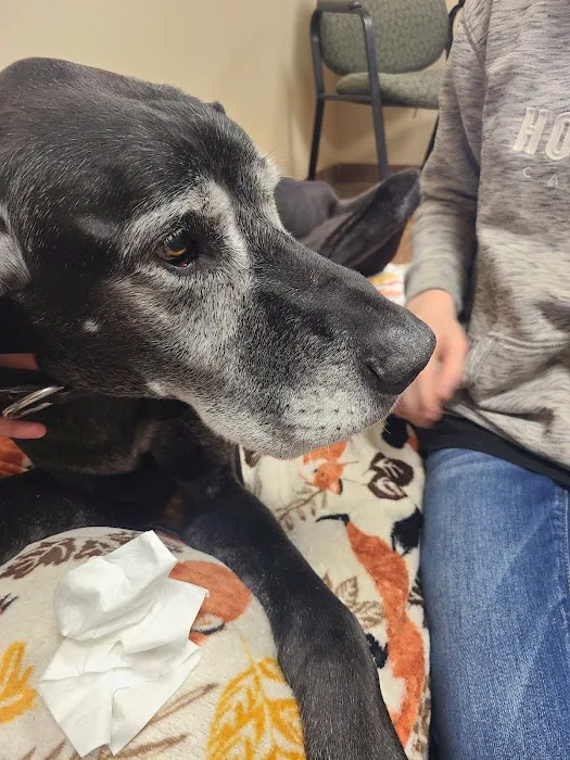 Detroit Lakes Animal Hospital Picture 8